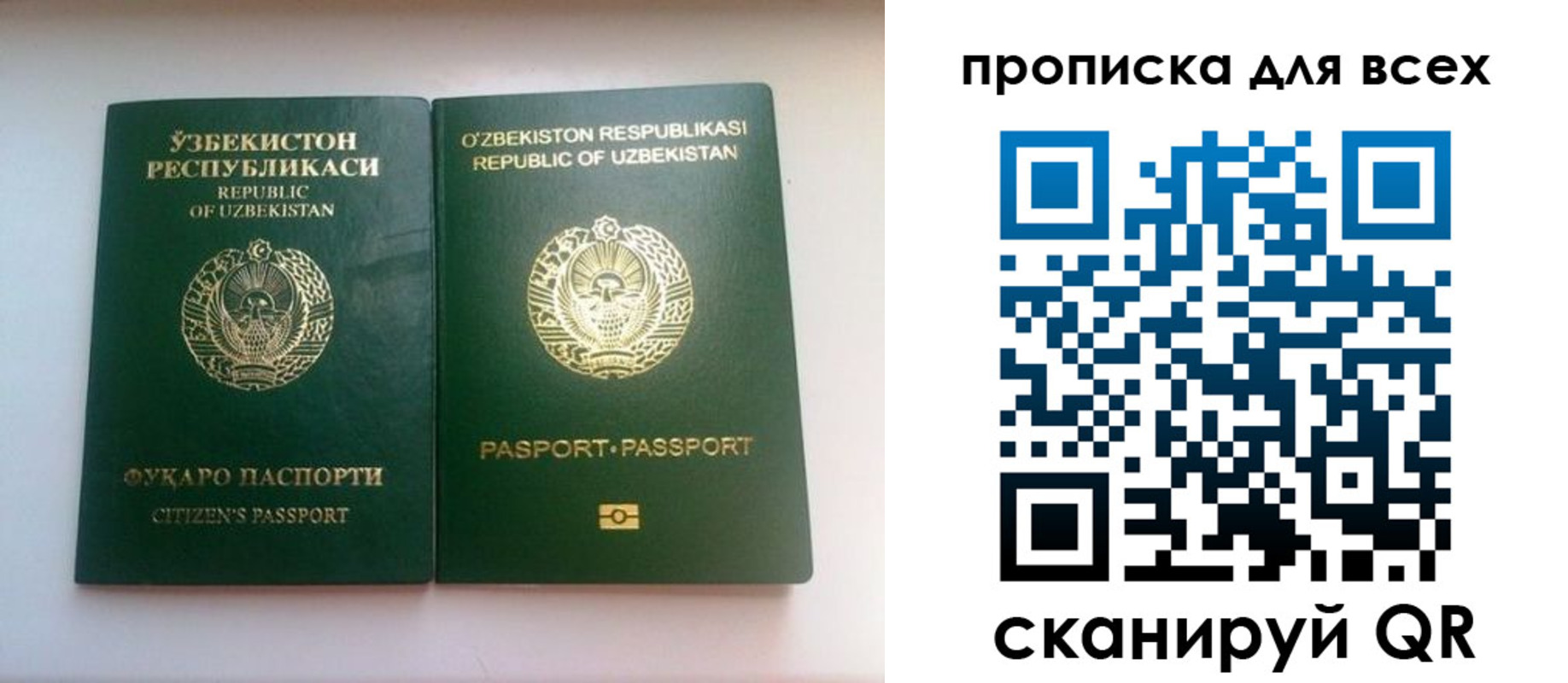 прописка для школы в Отрадном